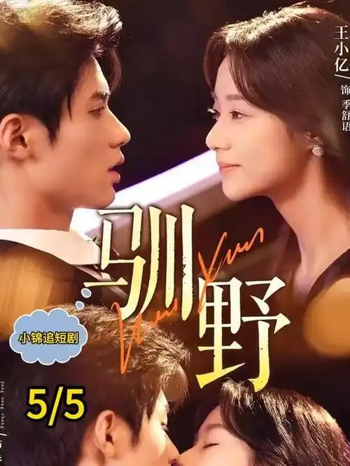 南来北往